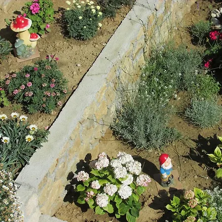 Apartment Roza Lopar