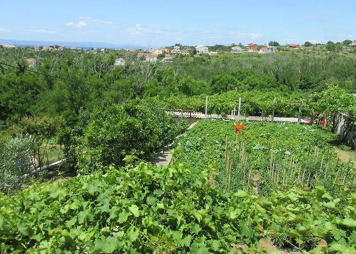 Apartmani Roza