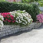 Apartament Roza *