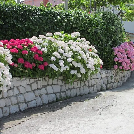 Apartman Roza *