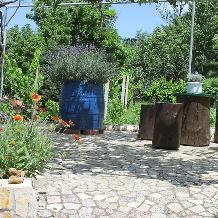 Apartment Roza *