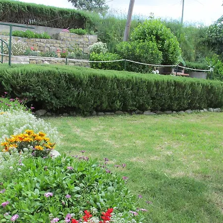 Apartman Roza