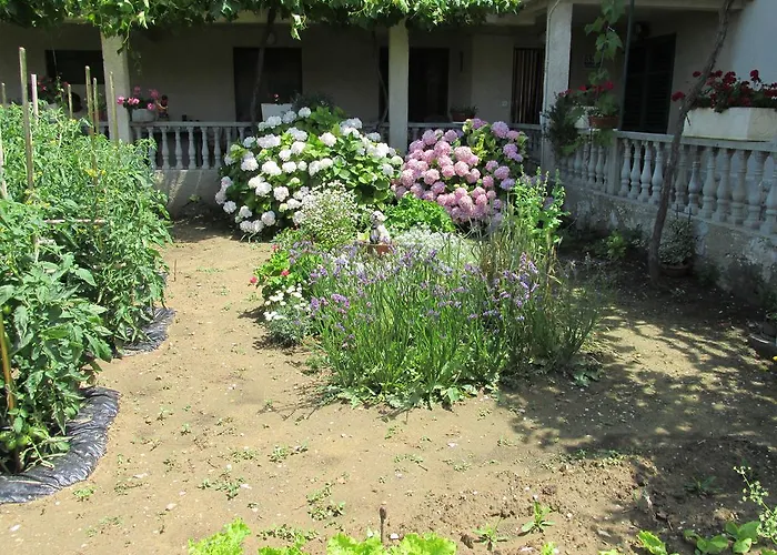 Apartament Roza
